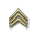 Junior Sergeant