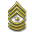 Senior Sergeant Major